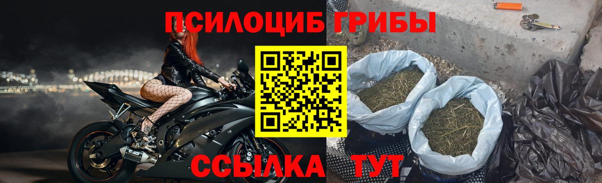 Псилоцибиновые грибы ЛСД  Вход с VPN  продажа наркотиков  Чита  Галлюциногенные грибы Cubensis 